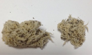 f:id:aminoco:20140511185744j:plain f:id:aminoco:20140511185744j:plain