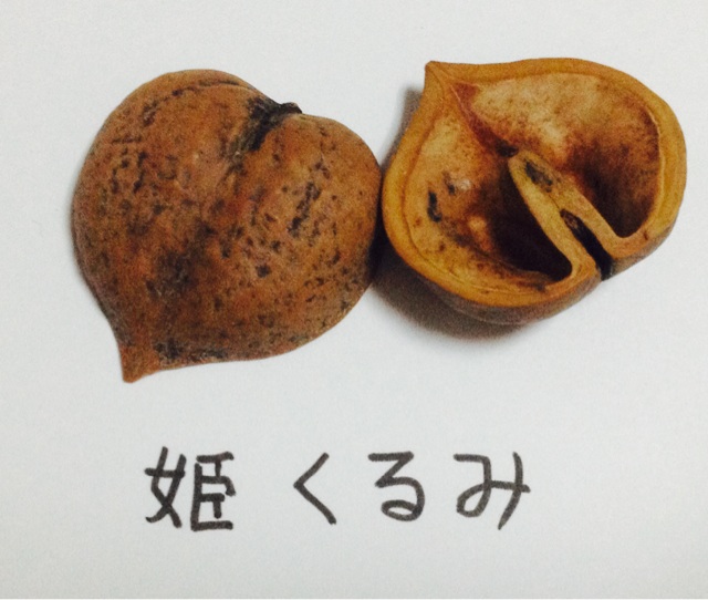 f:id:aminoco:20140916223655j:plain f:id:aminoco:20140916223655j:plain
