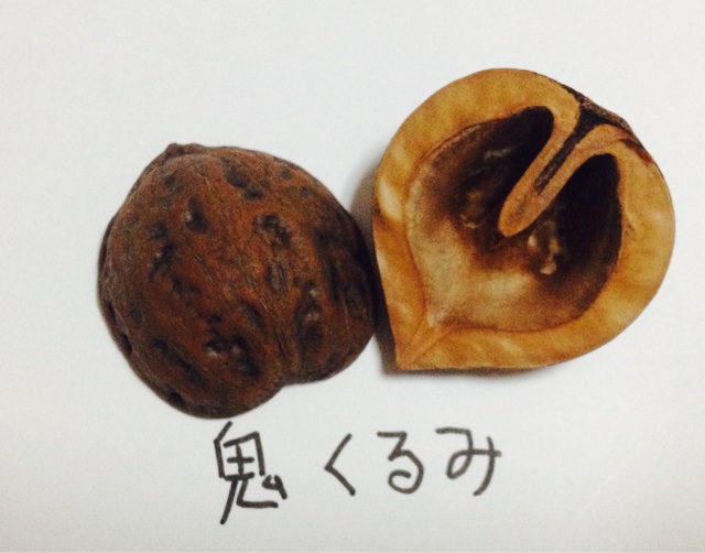 f:id:aminoco:20140916223751j:plain f:id:aminoco:20140916223751j:plain