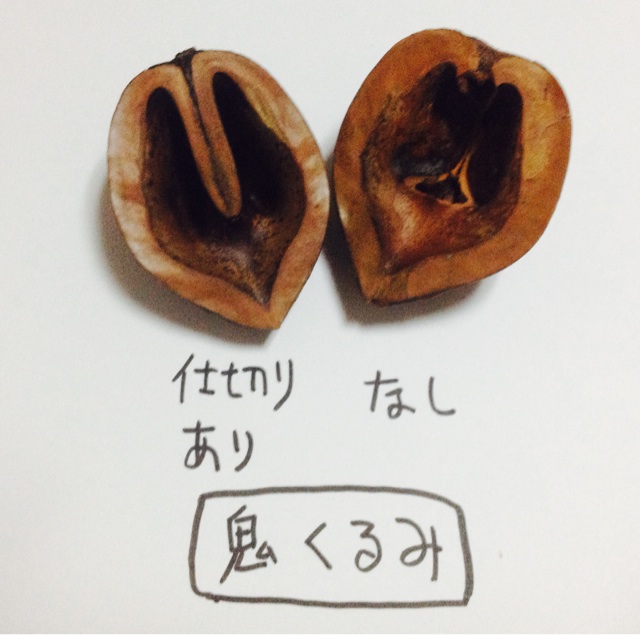 f:id:aminoco:20140916223900j:plain f:id:aminoco:20140916223900j:plain