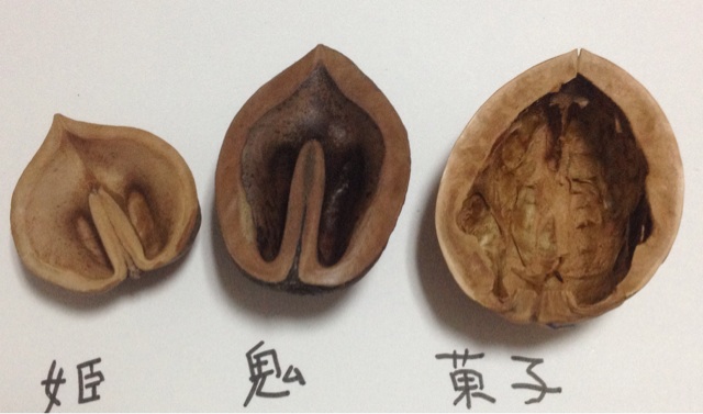 f:id:aminoco:20140916230614j:plain f:id:aminoco:20140916230614j:plain