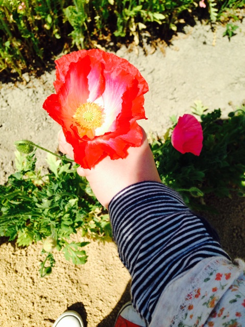 f:id:amour211:20150506130803j:plain f:id:amour211:20150506130803j:plain