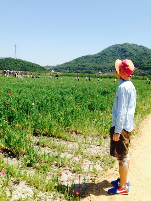 f:id:amour211:20150506130819j:plain f:id:amour211:20150506130819j:plain