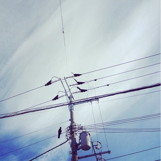 f:id:ampm__24:20131129191420j:plain f:id:ampm__24:20131129191420j:plain