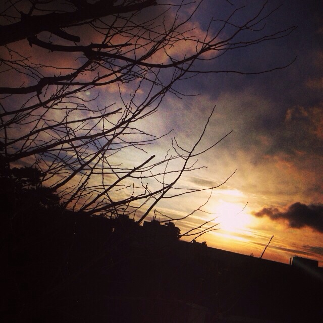 f:id:ampm__24:20131206152521j:plain f:id:ampm__24:20131206152521j:plain