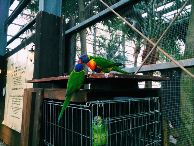 f:id:ampm__24:20140330210602j:plain f:id:ampm__24:20140330210602j:plain
