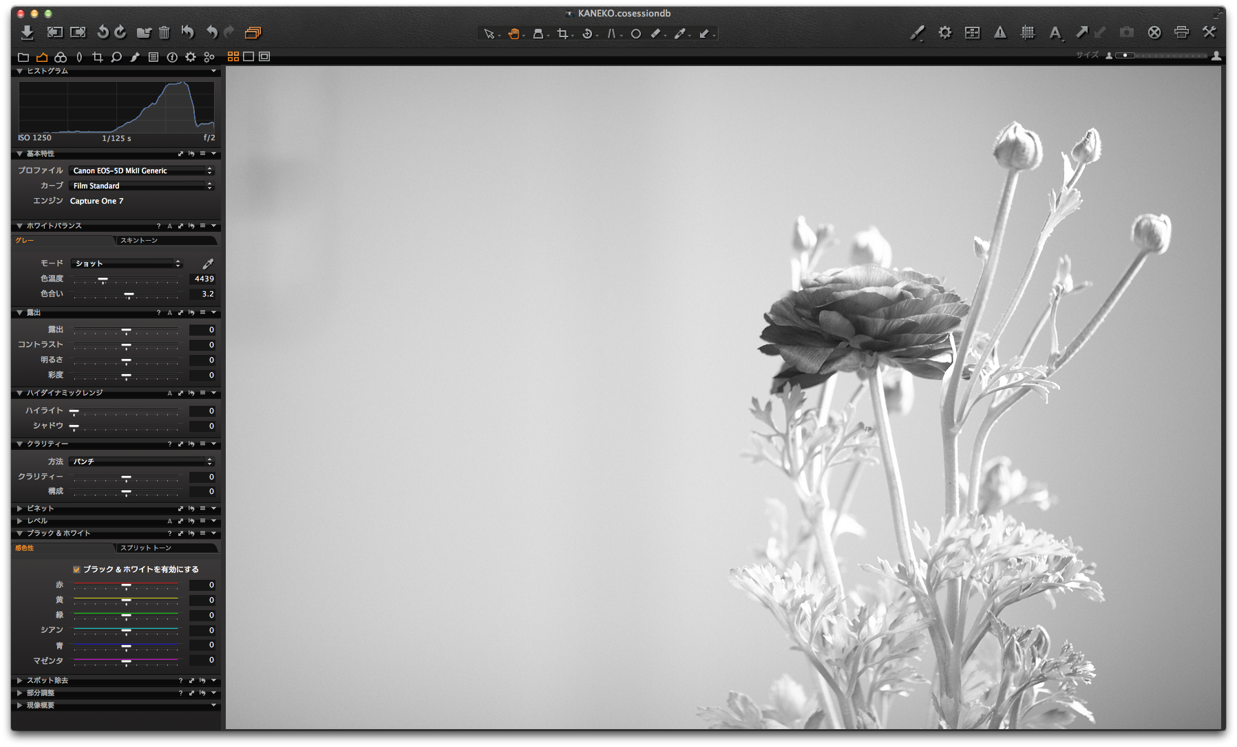 f:id:amury:20140308000512p:plain f:id:amury:20140308000512p:plain