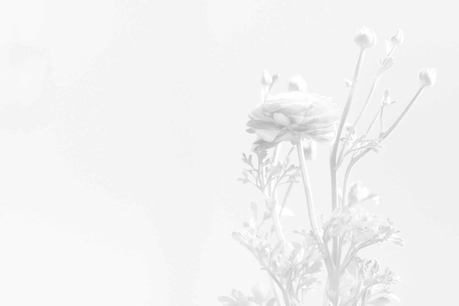 f:id:amury:20140308004406j:plain f:id:amury:20140308004406j:plain