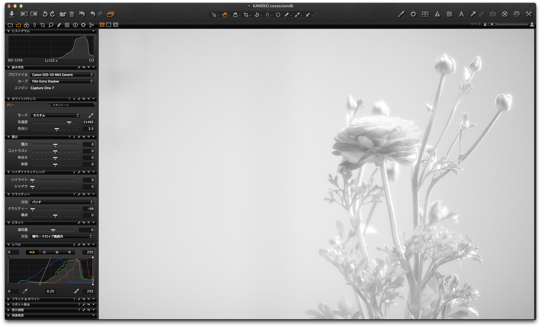 f:id:amury:20140318001603p:plain f:id:amury:20140318001603p:plain