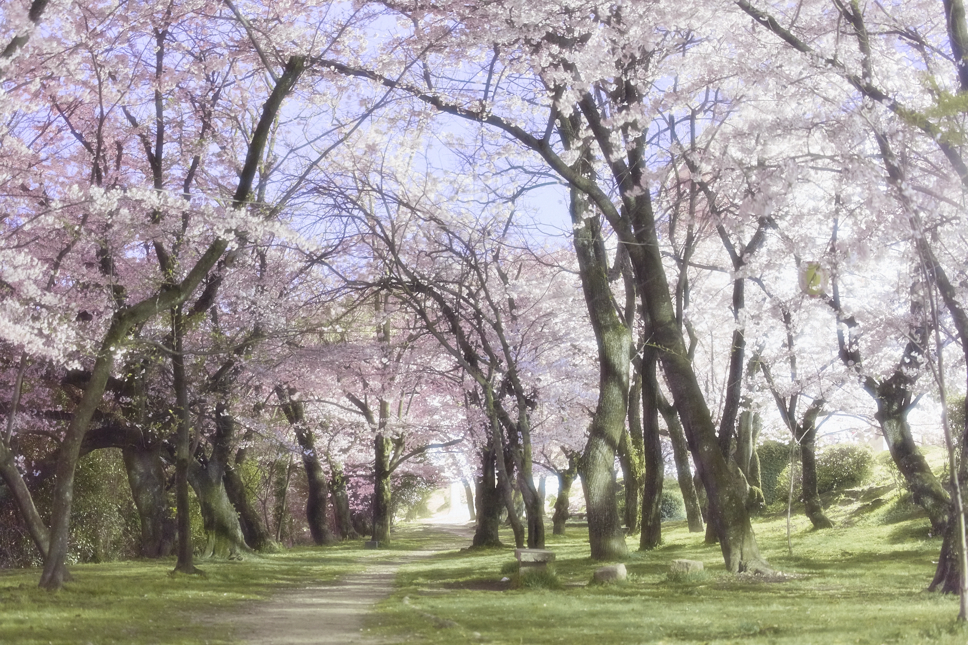 f:id:amury:20140402001331j:plain f:id:amury:20140402001331j:plain