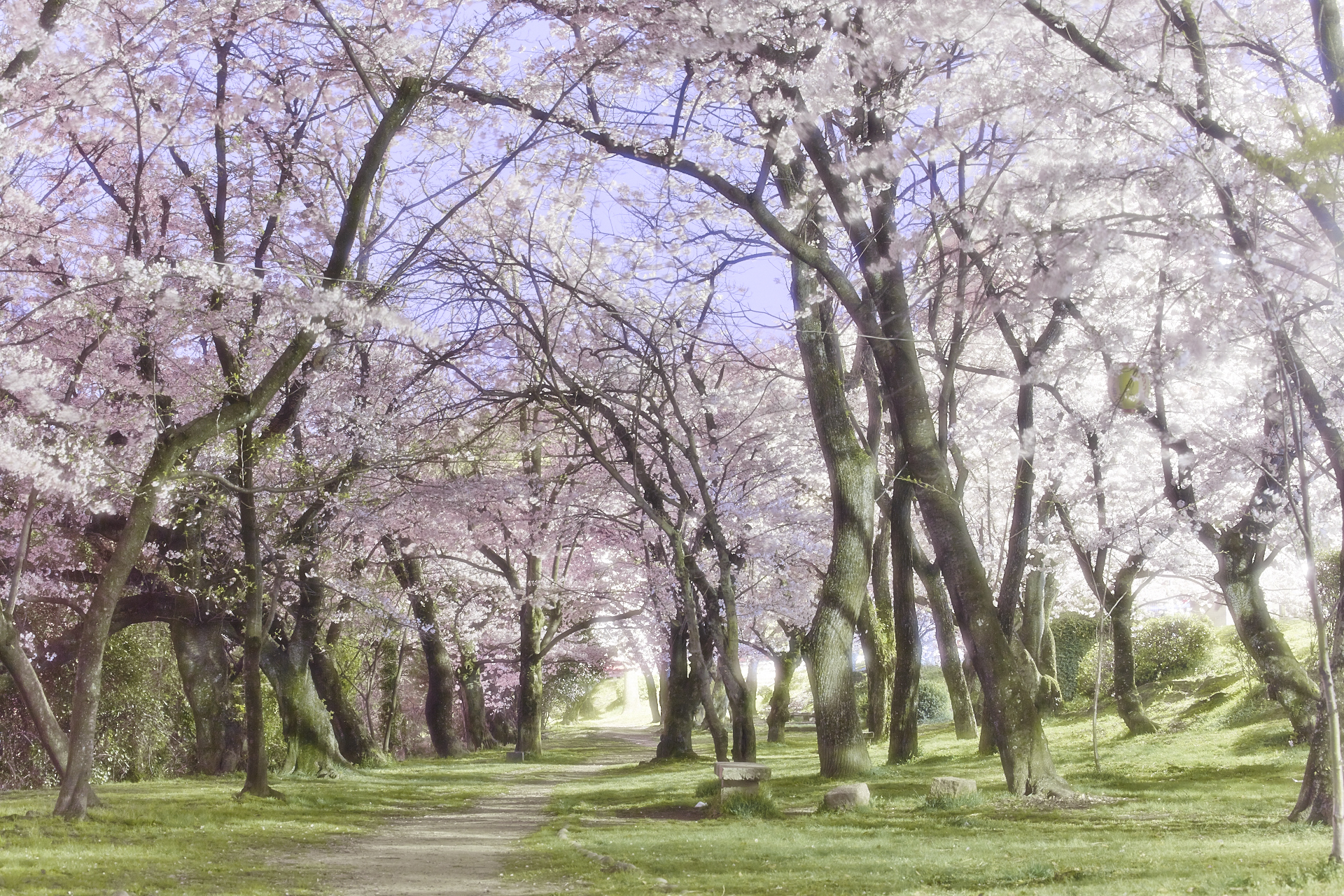 f:id:amury:20140402001359j:plain f:id:amury:20140402001359j:plain