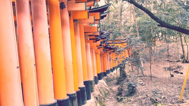f:id:an_yoonin:20150320042934j:plain f:id:an_yoonin:20150320042934j:plain