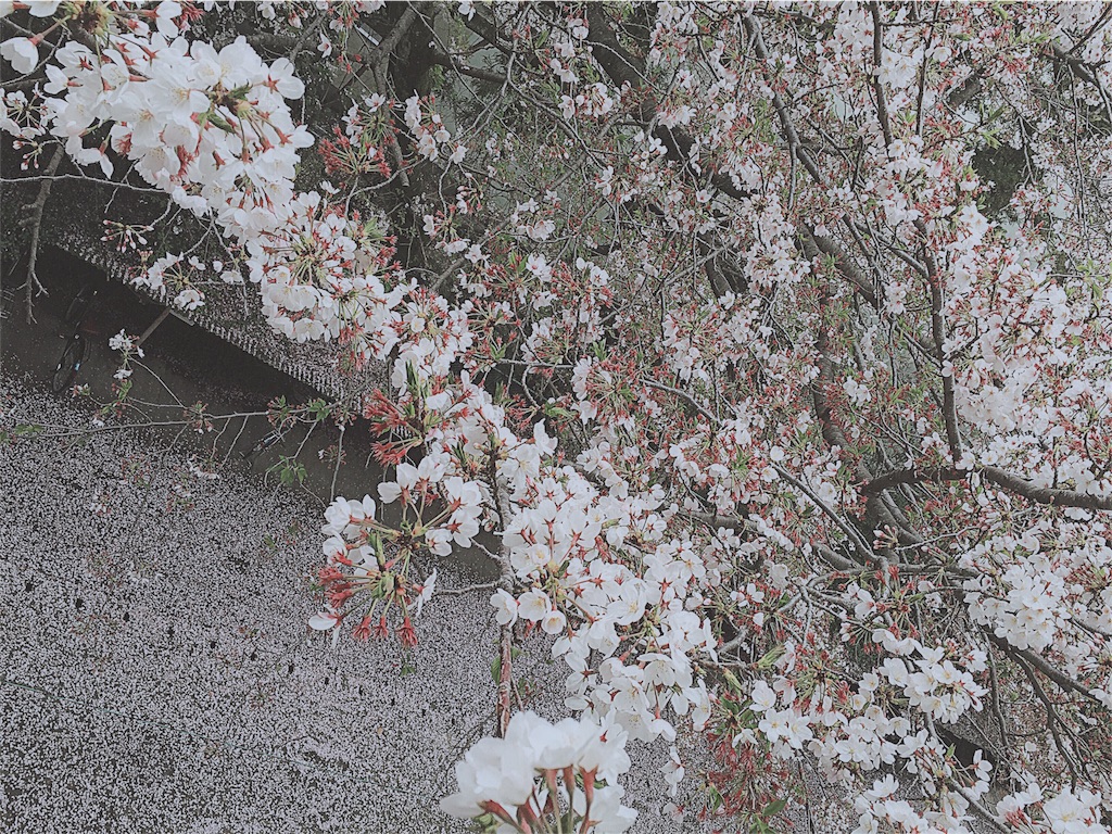 f:id:an_yoonin:20160410193841j:image f:id:an_yoonin:20160410193841j:image