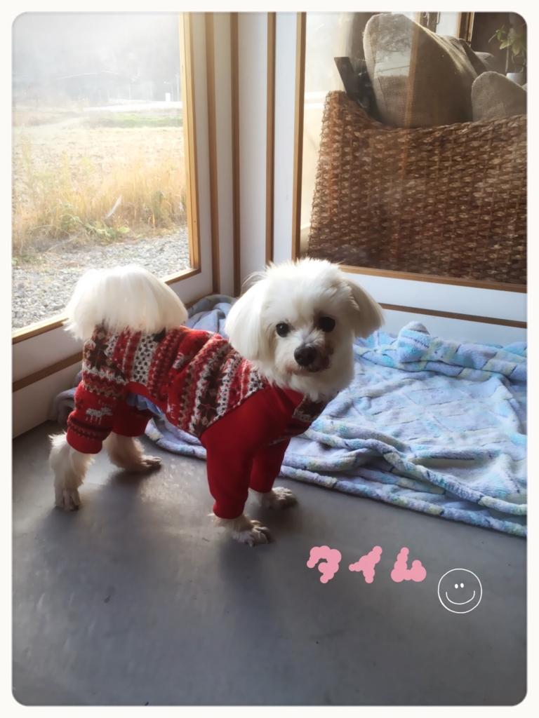 f:id:ancoro_chan:20151225084339j:plain f:id:ancoro_chan:20151225084339j:plain