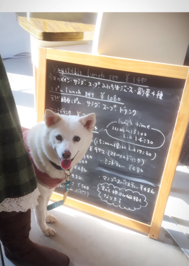 f:id:ancoro_chan:20151225084700j:plain f:id:ancoro_chan:20151225084700j:plain