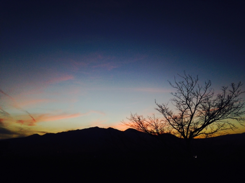 f:id:and_MATILDA:20150308222733j:plain f:id:and_MATILDA:20150308222733j:plain