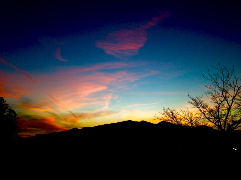 f:id:and_MATILDA:20150308222836j:plain f:id:and_MATILDA:20150308222836j:plain