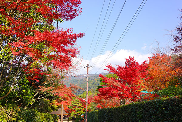 f:id:andaantee:20131124132124j:image:w360