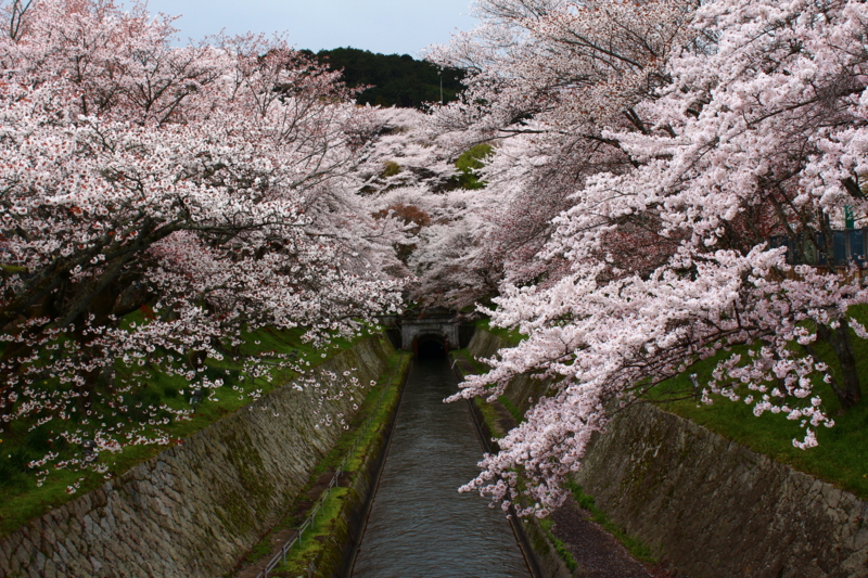 f:id:andoshin11:20140406213736j:plain f:id:andoshin11:20140406213736j:plain