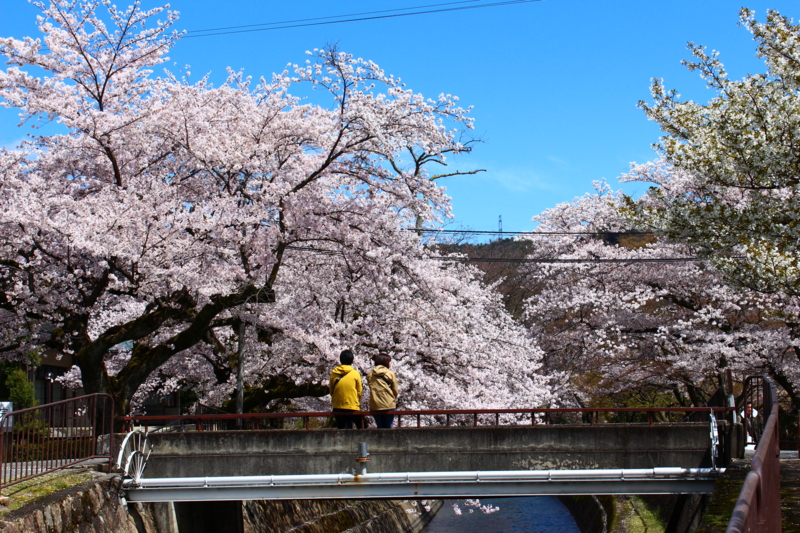 f:id:andoshin11:20140406213911j:plain f:id:andoshin11:20140406213911j:plain