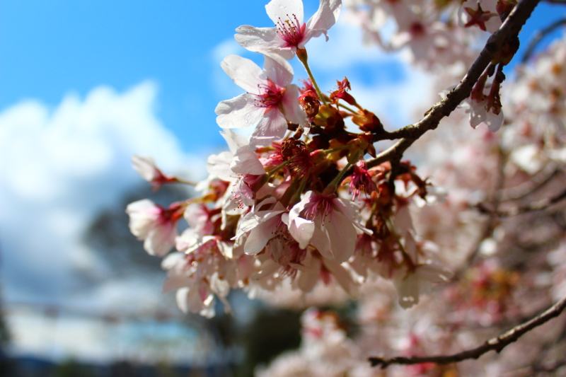 f:id:andoshin11:20140406213937j:plain f:id:andoshin11:20140406213937j:plain