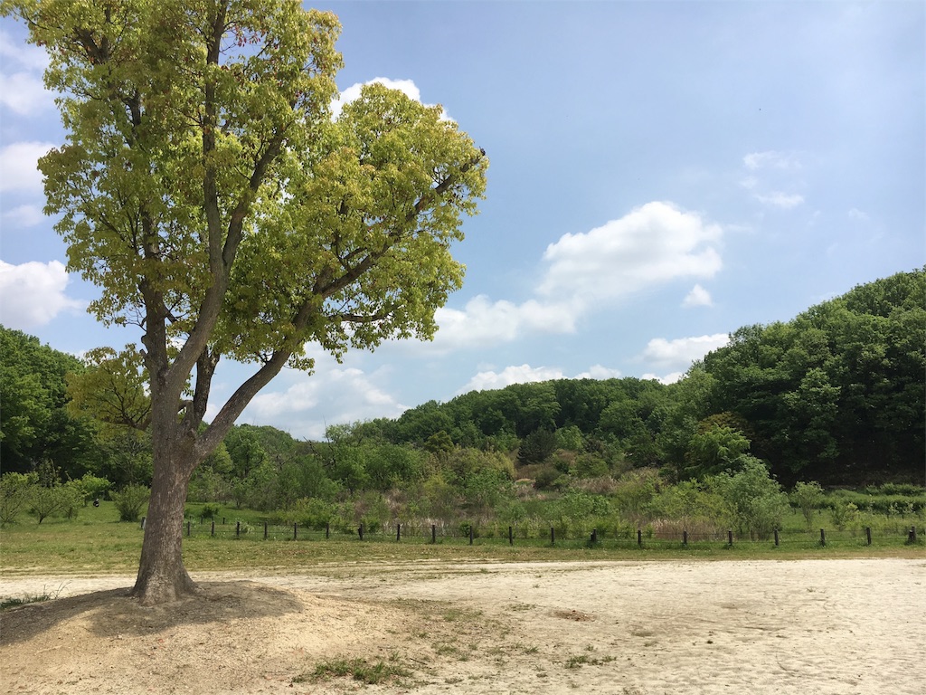 f:id:andrewyusuke:20160424094646j:image f:id:andrewyusuke:20160424094646j:image