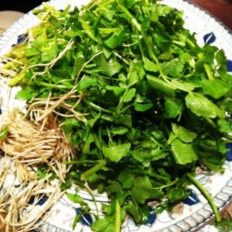 f:id:andy-e49er:20111210202956j:image