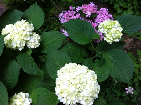 f:id:andy-e49er:20120602170928j:image f:id:andy-e49er:20120602170928j:image