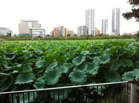 f:id:andy-e49er:20121003125320j:image f:id:andy-e49er:20121003125320j:image