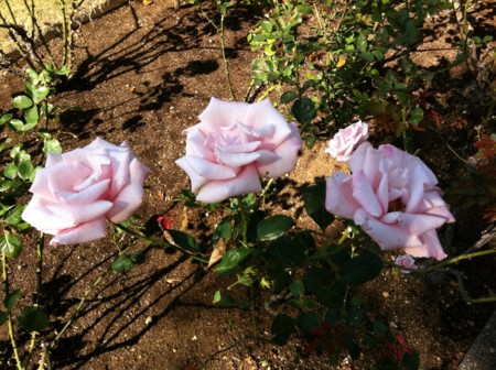 f:id:andy-e49er:20121021164730j:image:w360 f:id:andy-e49er:20121021164730j:image:w360