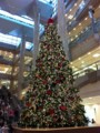 f:id:andy-e49er:20121117114334j:image:medium f:id:andy-e49er:20121117114334j:image:medium