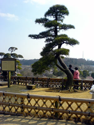 f:id:anemoto:20080328005042j:image f:id:anemoto:20080328005042j:image