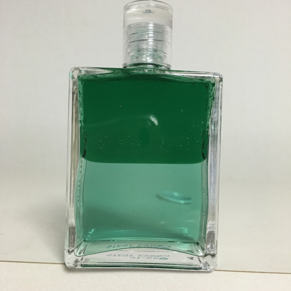 f:id:angelicaforsoul:20151204080526j:plain