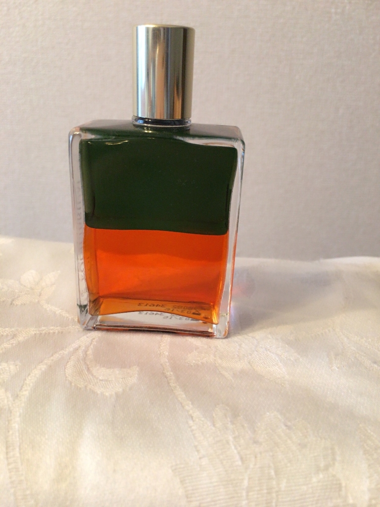 f:id:angelicaforsoul:20151230084449j:plain