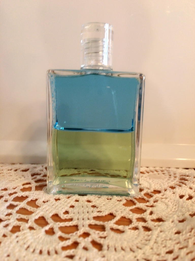 f:id:angelicaforsoul:20160127191006j:plain f:id:angelicaforsoul:20160127191006j:plain