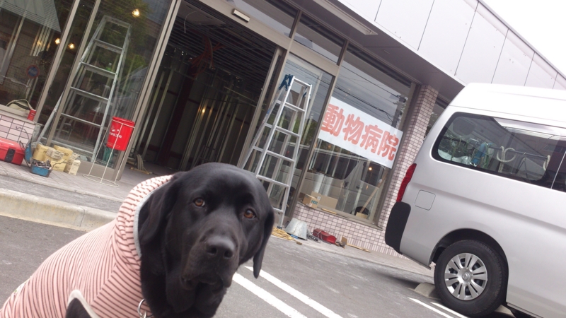 f:id:anifa-ohana:20130419140304j:plain f:id:anifa-ohana:20130419140304j:plain