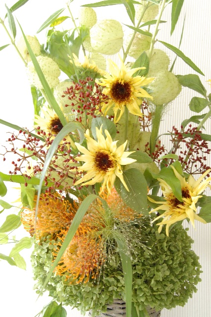 f:id:anima-florist:20150615080049j:image f:id:anima-florist:20150615080049j:image