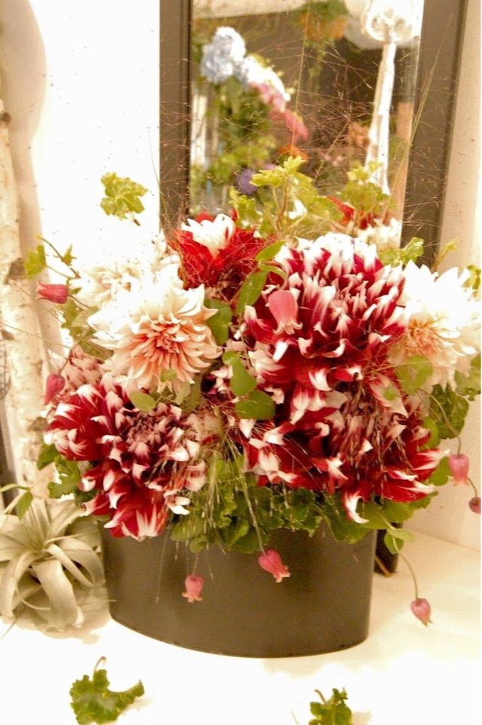 f:id:anima-florist:20150928145403j:image f:id:anima-florist:20150928145403j:image