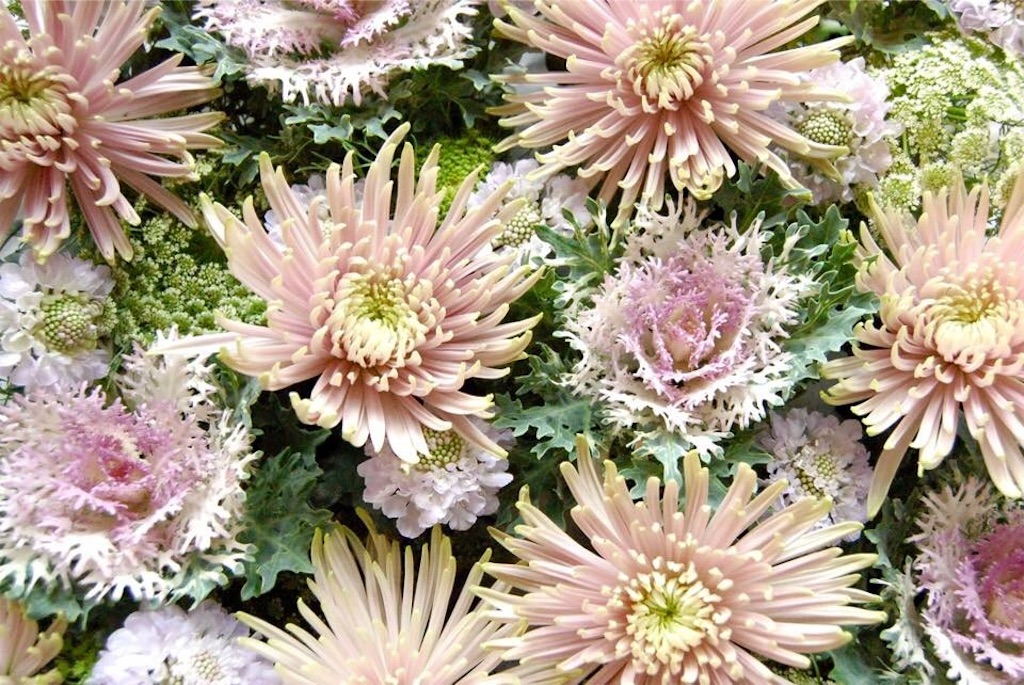 f:id:anima-florist:20160105221341j:image f:id:anima-florist:20160105221341j:image