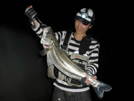 f:id:animalno1:20100622003826j:image f:id:animalno1:20100622003826j:image