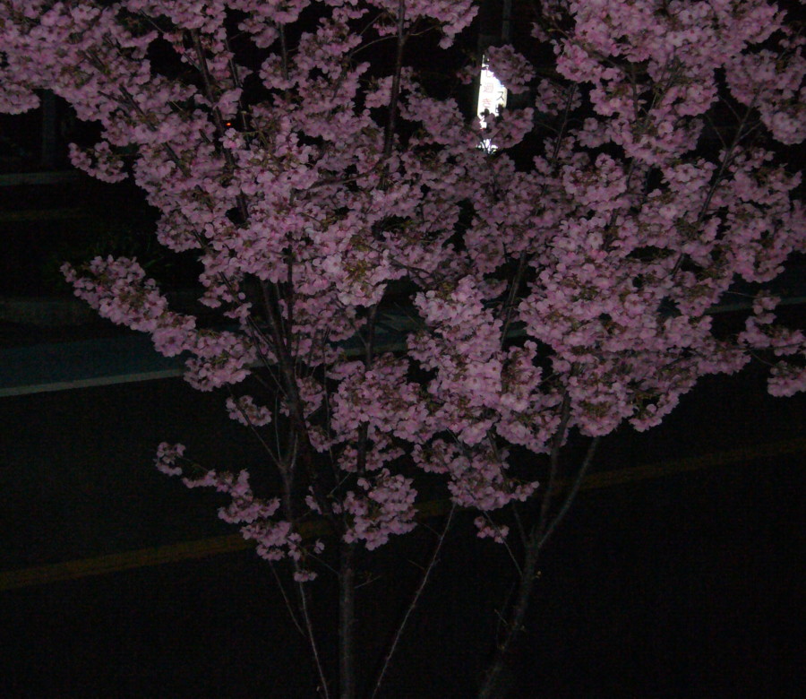 f:id:anjnaonagi:20160324010412j:plain f:id:anjnaonagi:20160324010412j:plain