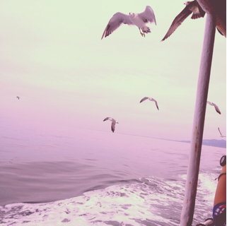 f:id:annayuco:20131006074952j:plain f:id:annayuco:20131006074952j:plain