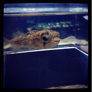 f:id:annayuco:20131006075117j:plain f:id:annayuco:20131006075117j:plain