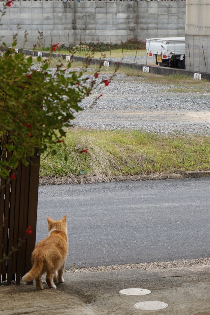 f:id:annesea:20151012161238j:image f:id:annesea:20151012161238j:image