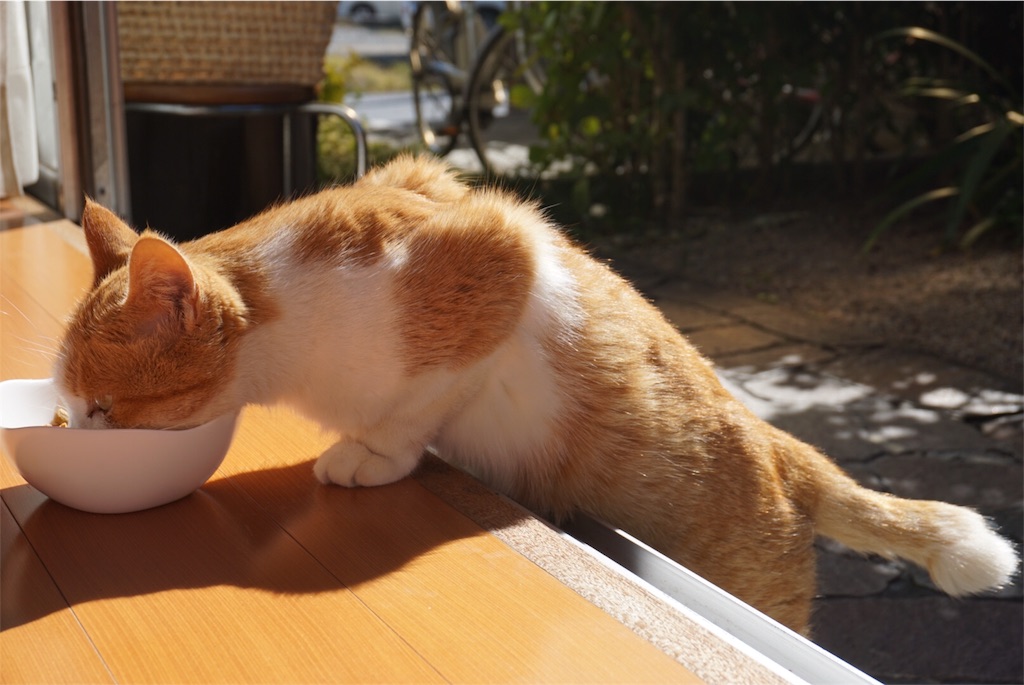 f:id:annesea:20151022104602j:image f:id:annesea:20151022104602j:image
