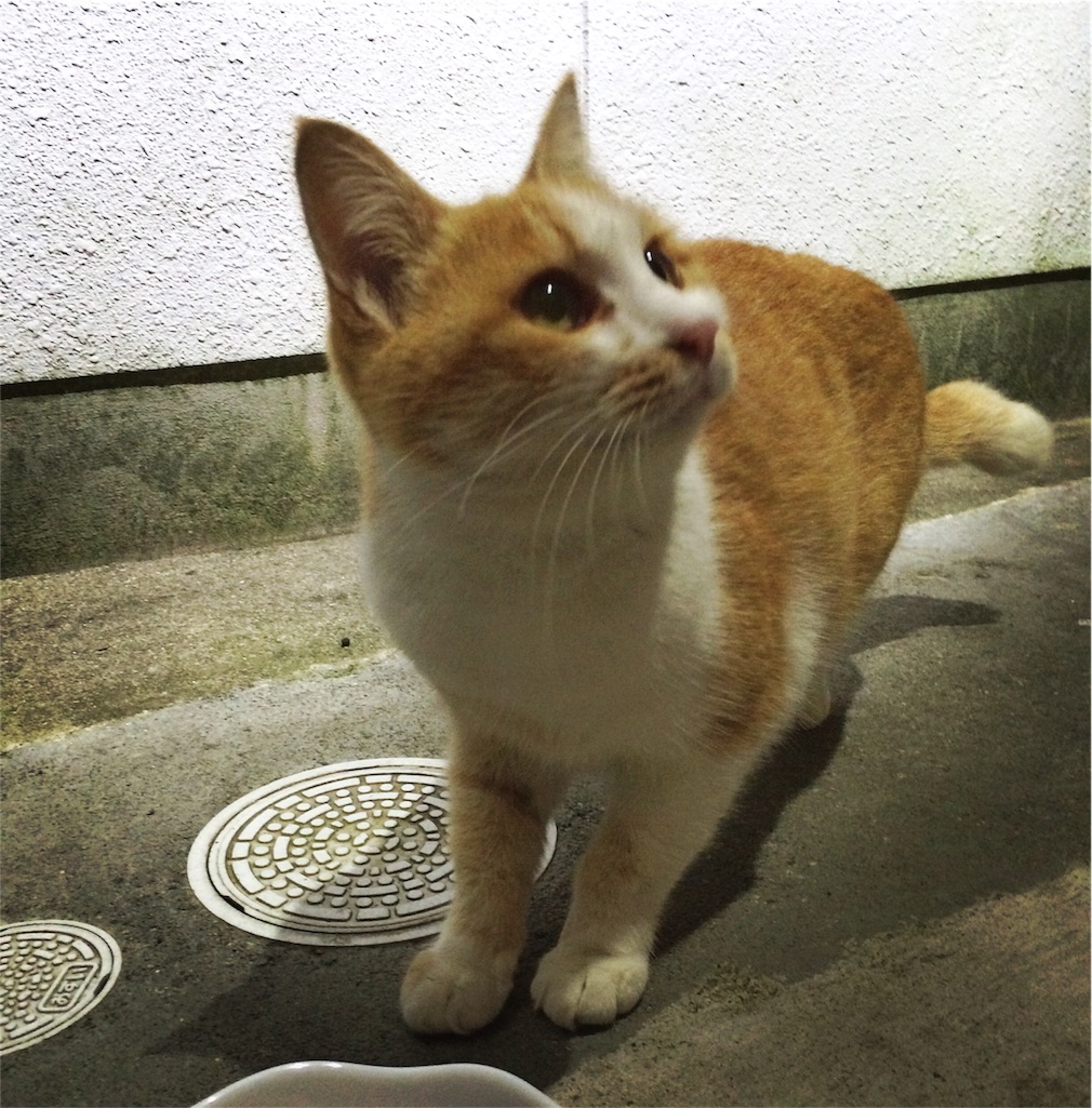 f:id:annesea:20151030211321j:image f:id:annesea:20151030211321j:image