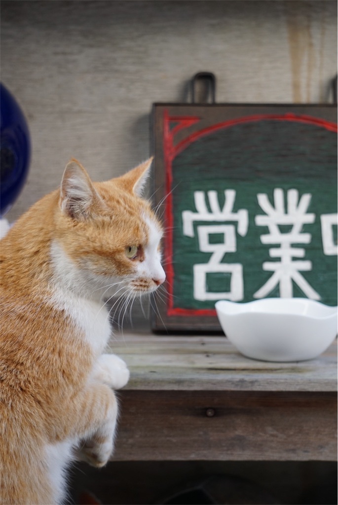 f:id:annesea:20151031201203j:image f:id:annesea:20151031201203j:image