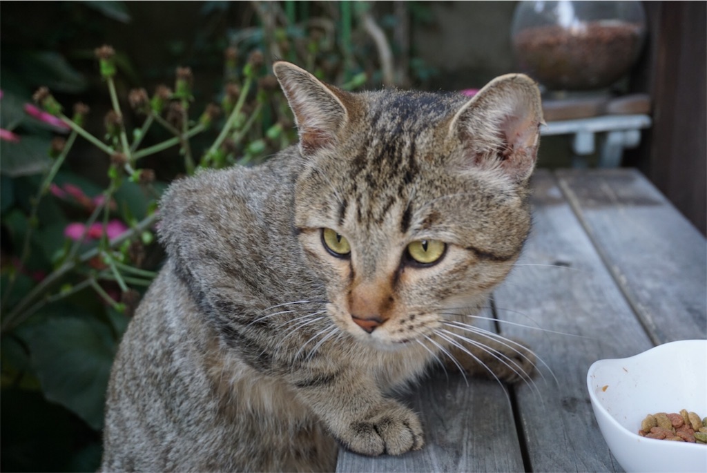 f:id:annesea:20151208112713j:image f:id:annesea:20151208112713j:image