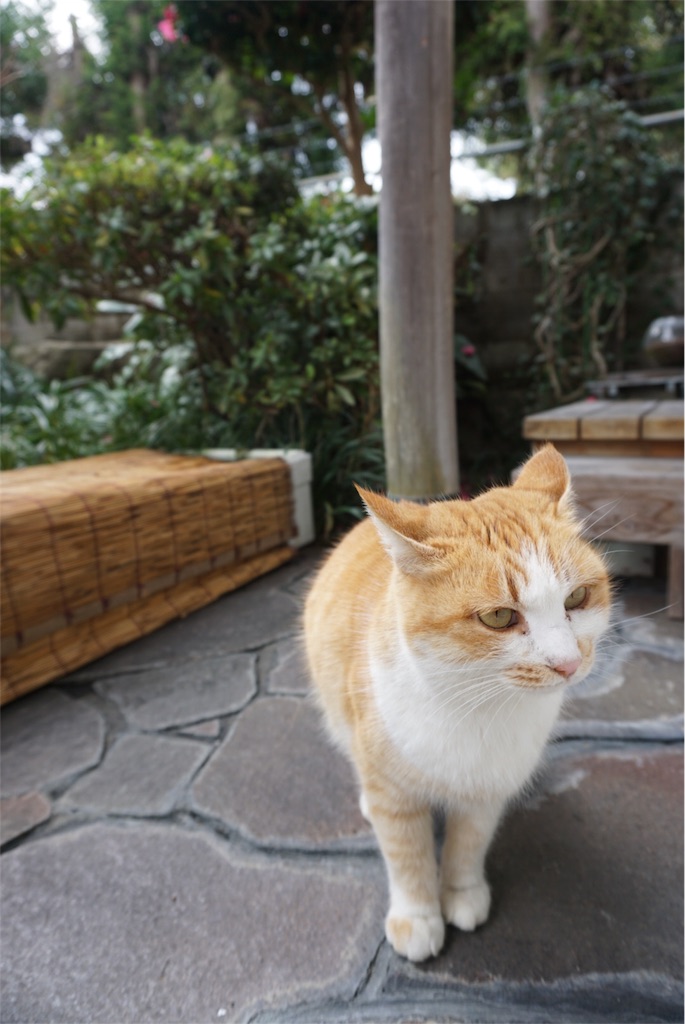 f:id:annesea:20151226160121j:image f:id:annesea:20151226160121j:image