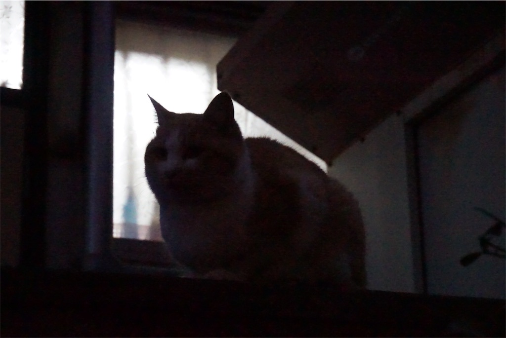 f:id:annesea:20151230212740j:image f:id:annesea:20151230212740j:image